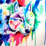 Rainbow Wolf 6