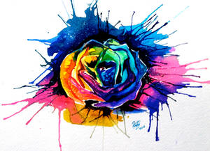 Rainbow Rose