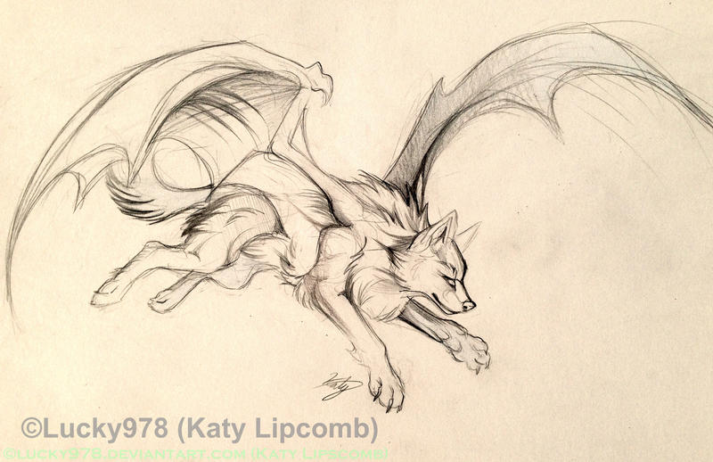 Bat Wolf Design Sketch