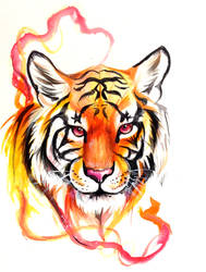 Tiger Design