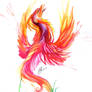 Phoenix Watercolor Design
