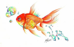 Rainbow Goldfish Print