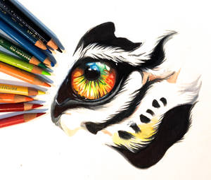 Colorful Tiger Eye