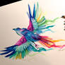 Day 23- Rainbow Bird