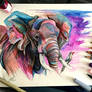 59- Elephant