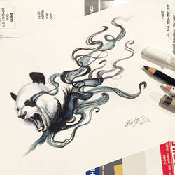 153- Disappearing Panda 2