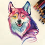176- Colorful Wolf