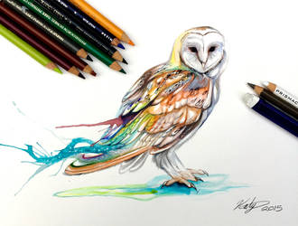 207- Barn Owl by KatyLipscomb