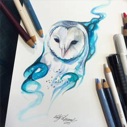 226- Galaxy Owl