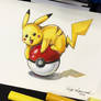 264- Pikachu