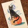301- Black Cat