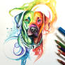351- Rainbow Dog