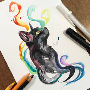 Black Rainbow Kitty