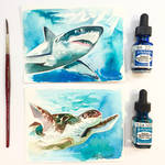 Shark and Sea Turtle Watercolor Minis