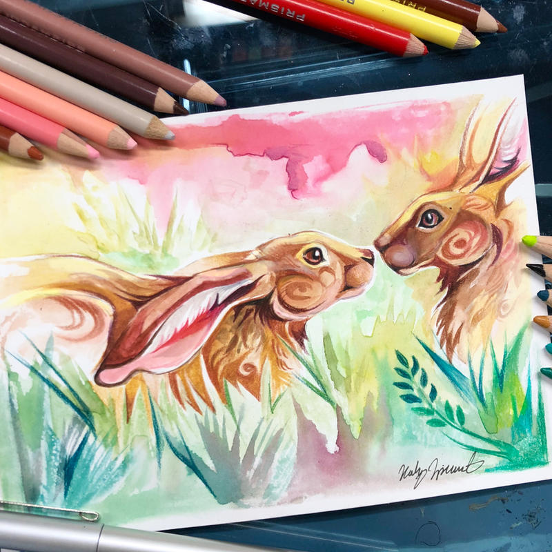 Spring Hares Pokemon Spring Hares by KatyLipscomb on DeviantArt