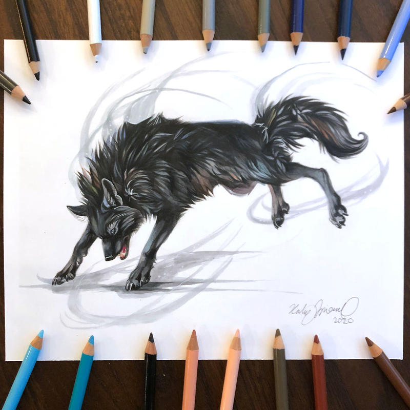 Day 181: Black Wolf