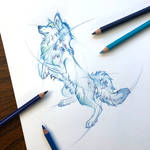 Day 185: Wolf Sketch