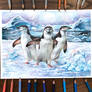 Day 247: Chinstrap Penguins 