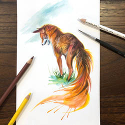 Day 261: Watercolor Fox Sketch