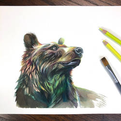 Day 263: Grizzy Bear