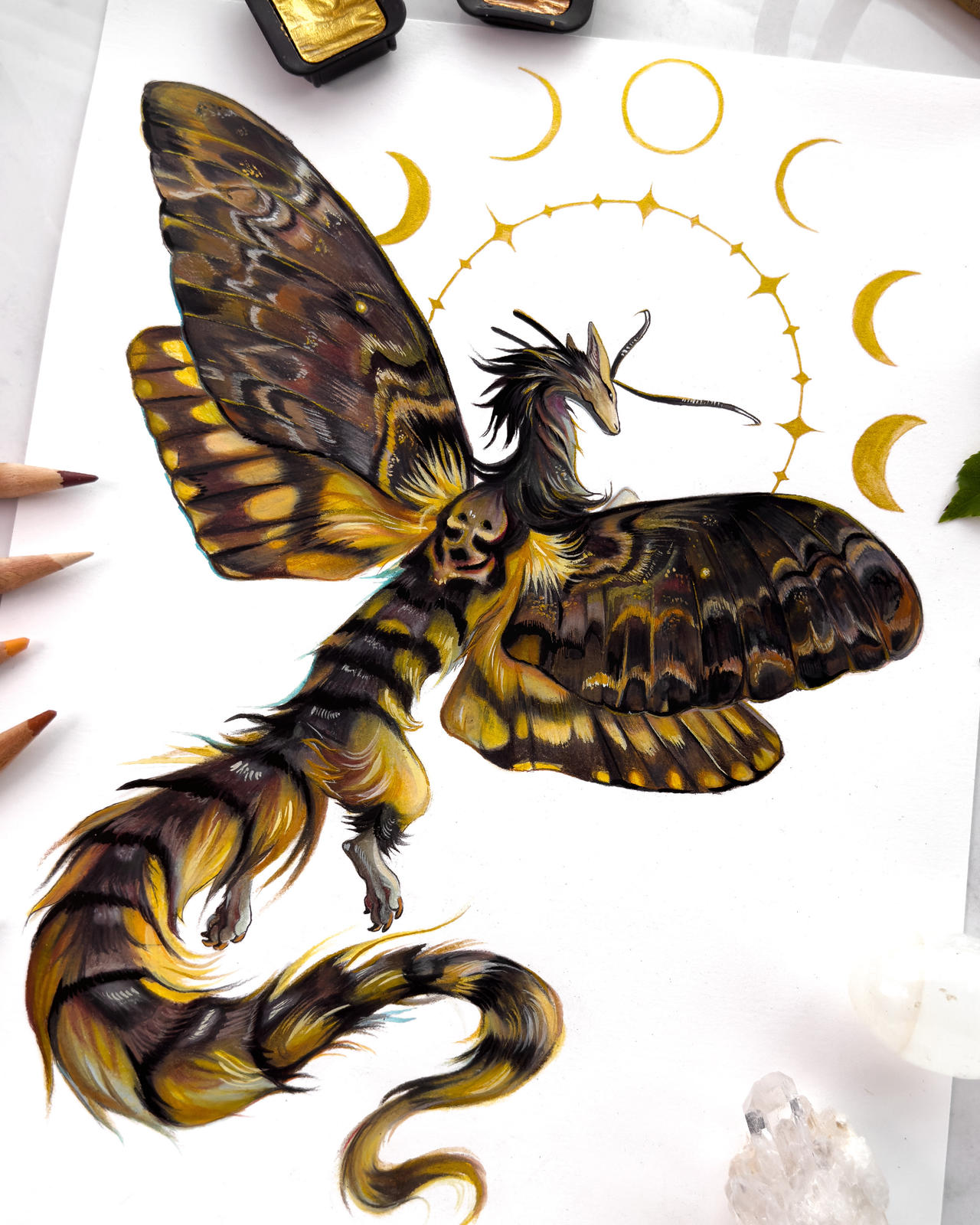 25.04 - Death's Head Hawkmoth - Still 04