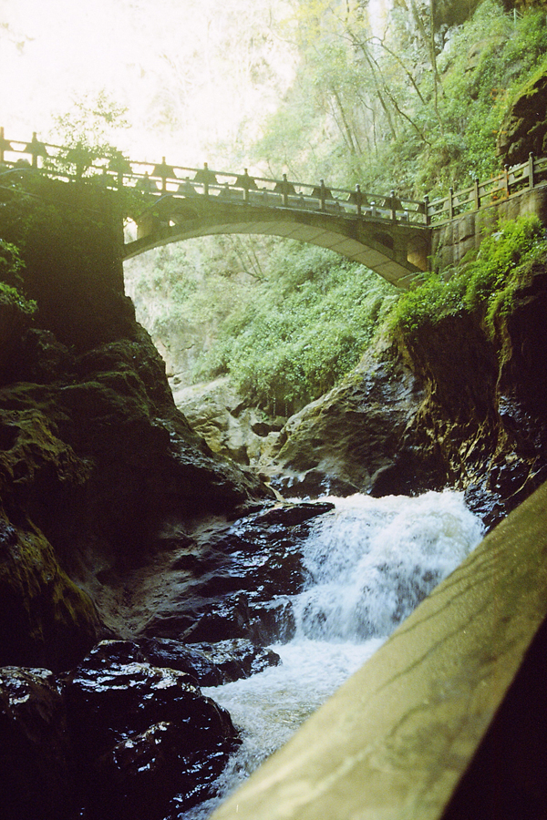 Bridge, Stream, Forest.