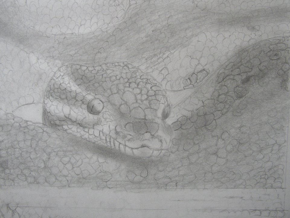Ball Python drawing by ZzmikezZ100 on DeviantArt