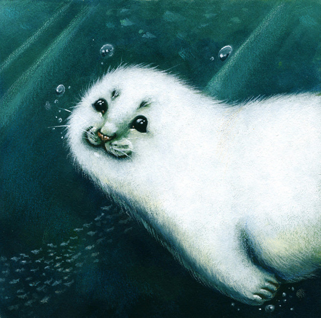 Baby, baby, baby Seal!