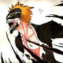 Ichigo Hollow