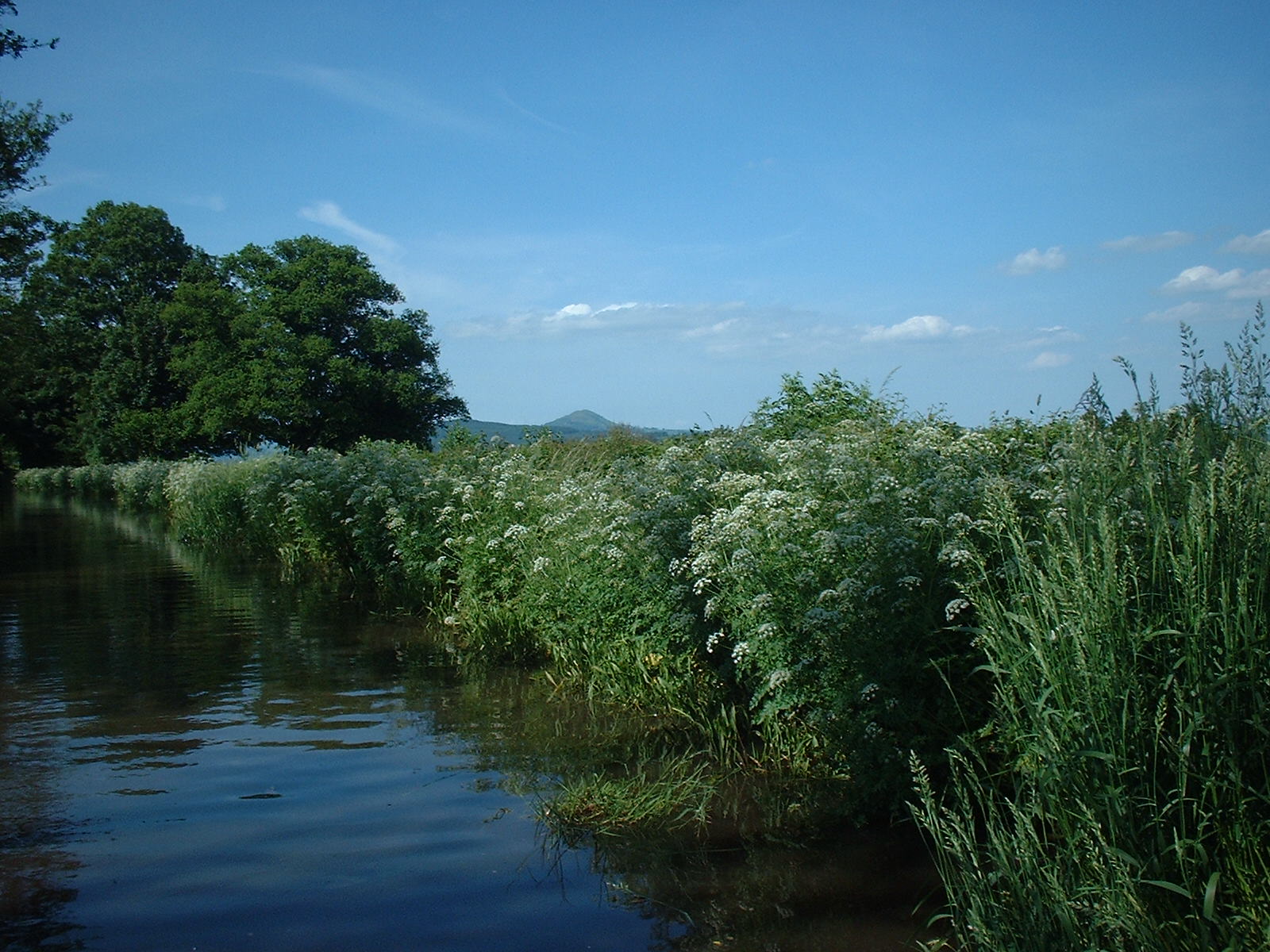 On the riverbank