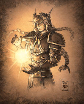 Blood Elf Paladin