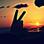 Peace, love and sunshine