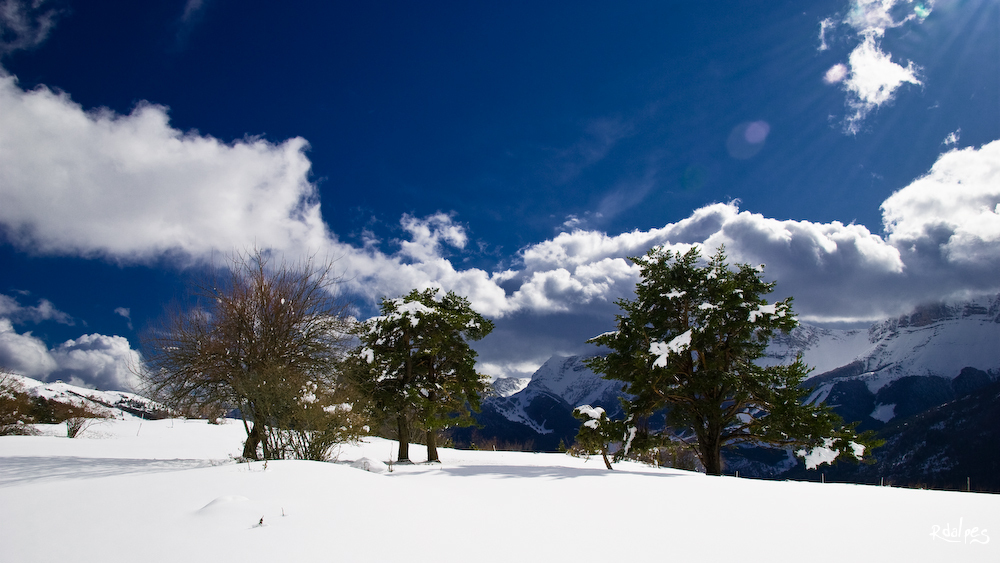 neige de Paques