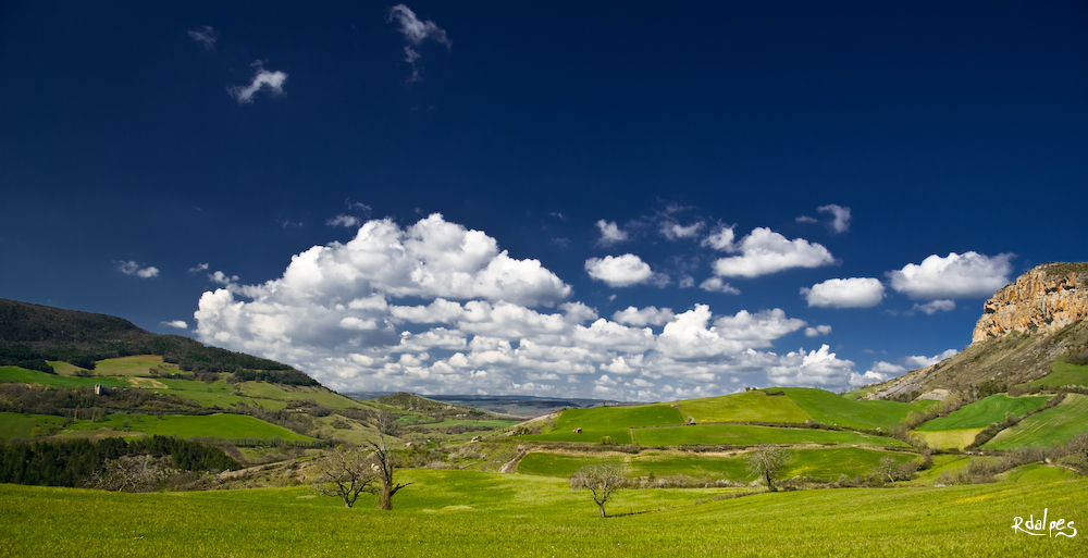 Herd of clouds