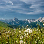 Dandelion and the valley by rdalpes