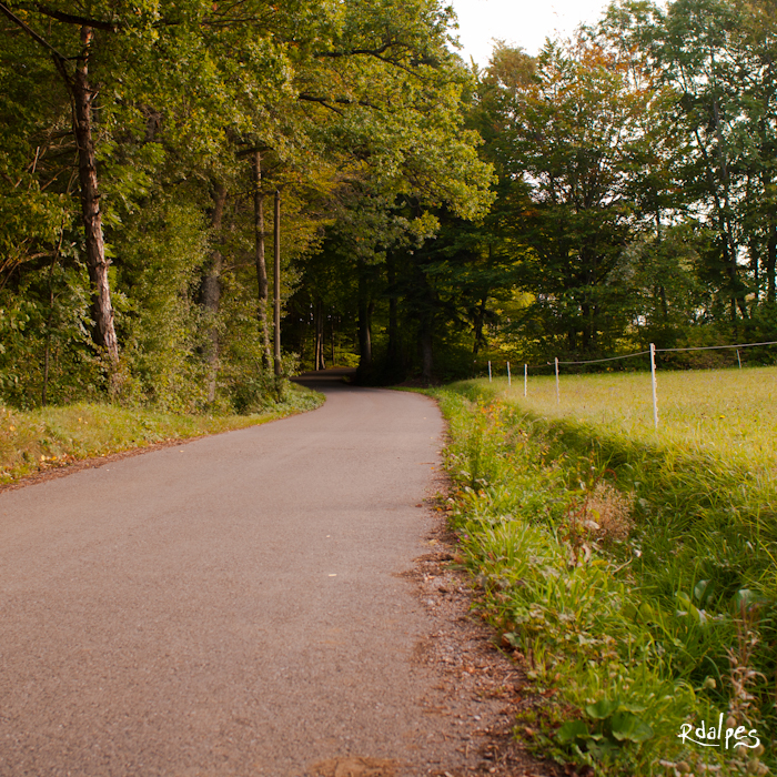 bucolic