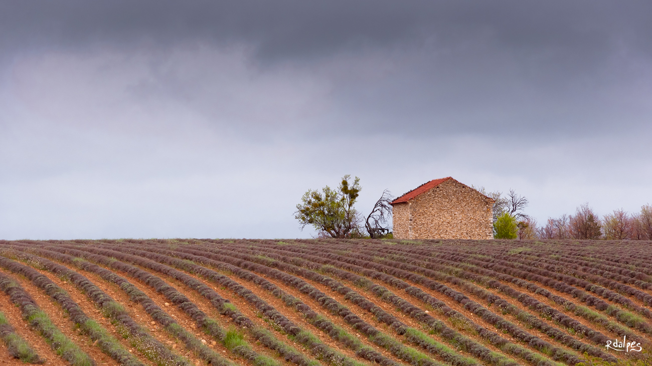 Provence