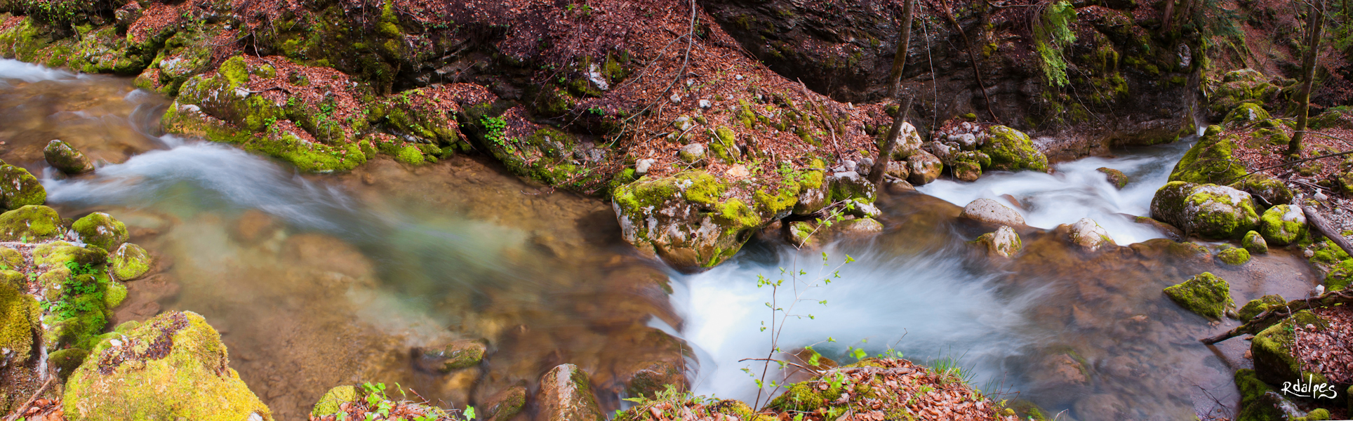 Le torrent