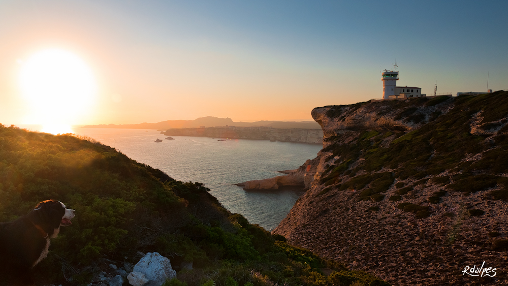 The dog, the lighthouse and the sunset ...