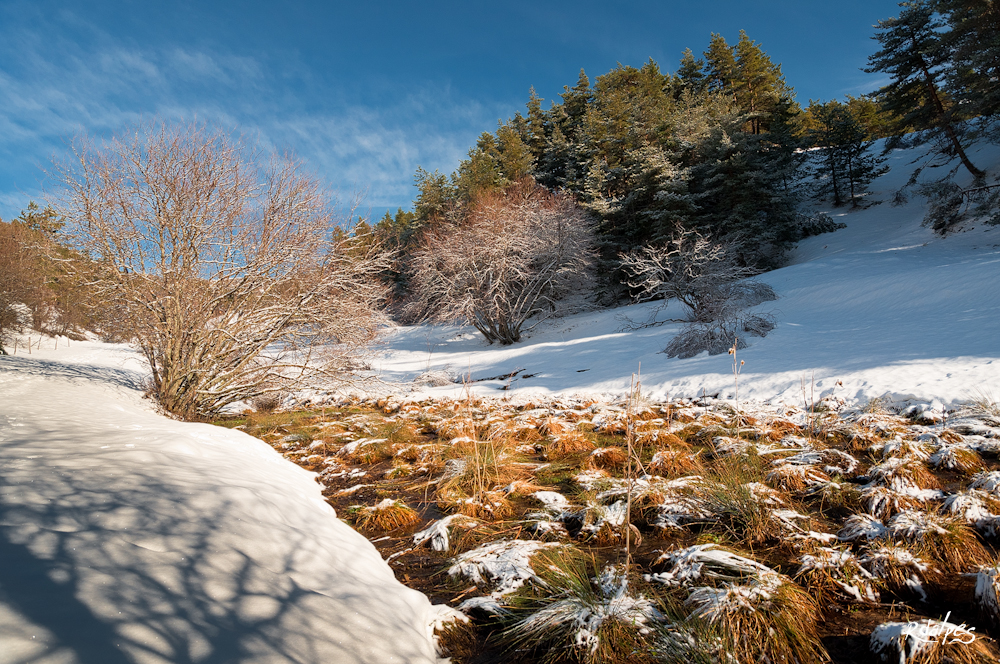 Le Ruisseau