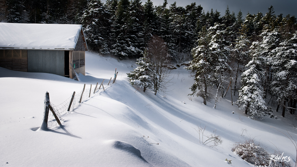 The barn