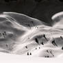 Traces