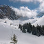 Le Vallon froid