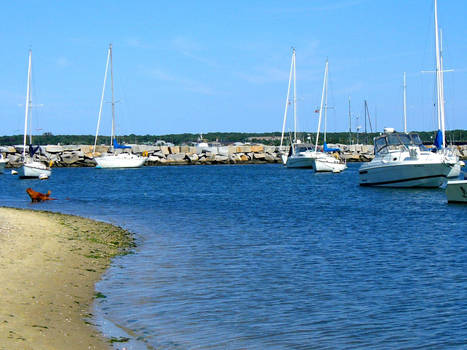 a walk on the beach