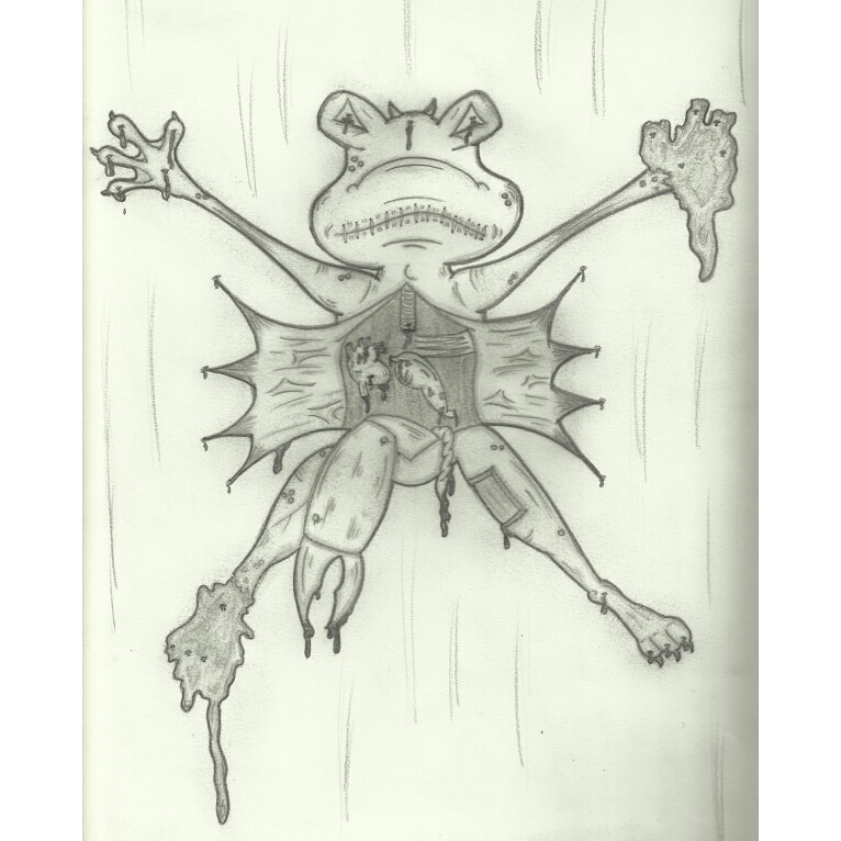 Dissection by Gritt-Inkarnate on DeviantArt