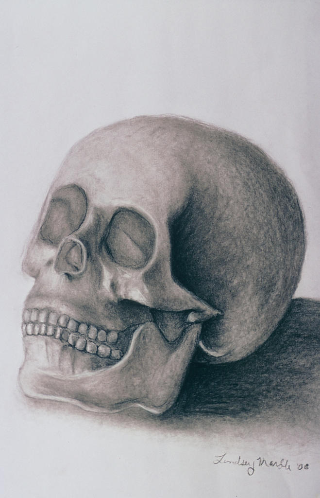 skull