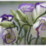 flowers purple and white