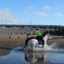 Horses.. Westward Ho! Beach