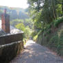 Along the Cobbled path at Clovelly, North Devon