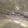 Sand and glittering water
